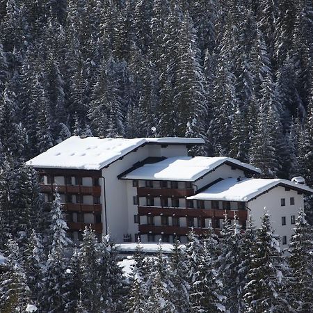 Residence Edelweiss San Martino Di Castrozza Exterior photo
